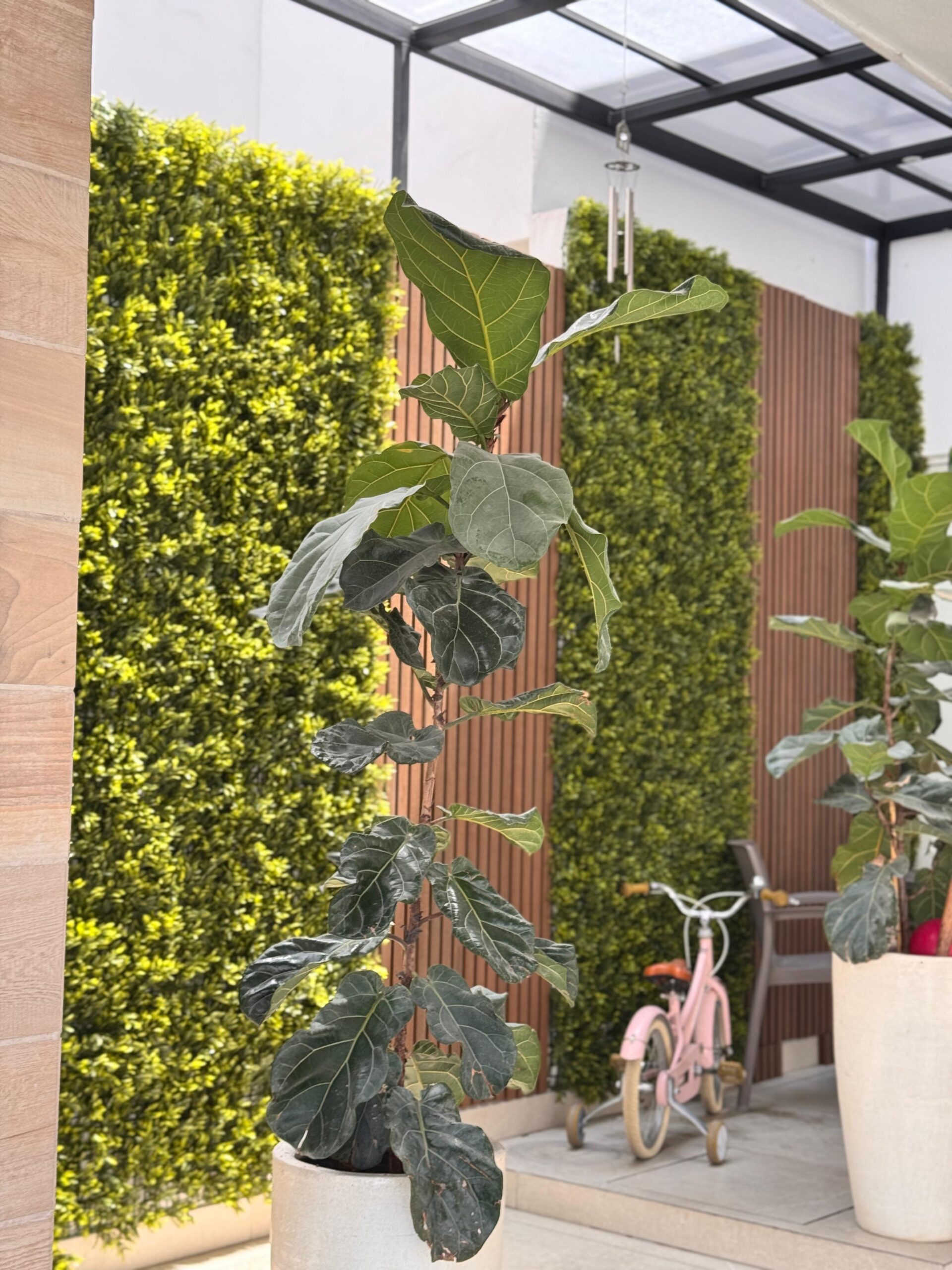 WhatsApp Image 2025-08-29 at 1.18.57 PM